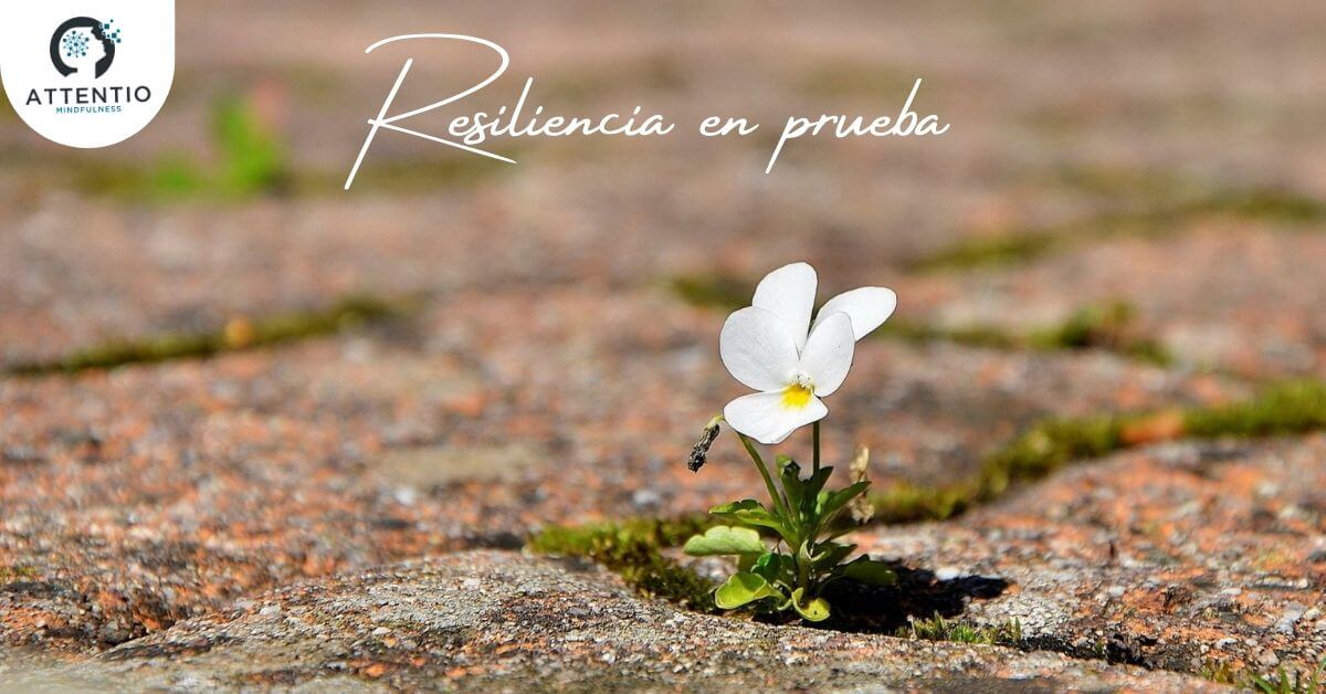 Resiliencia Taller Gratuito