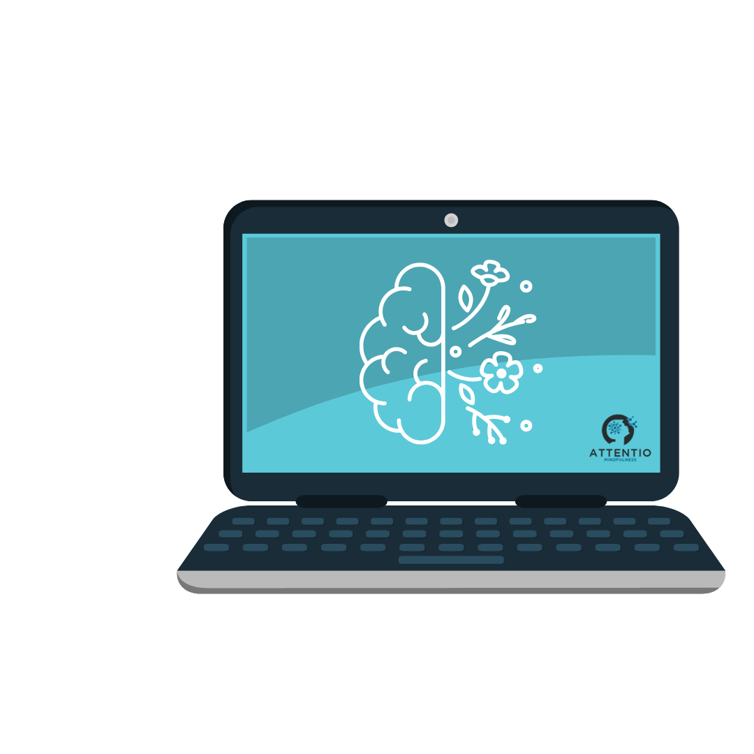 pc_cursos_ca