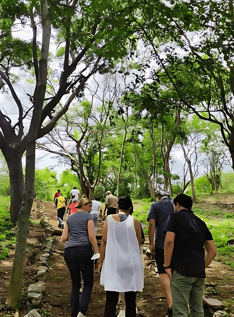 ambiente-cursos-precenciales-attentio-1