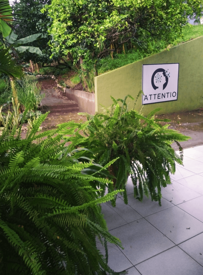 ambiente-cursos-precenciales-attentio-2